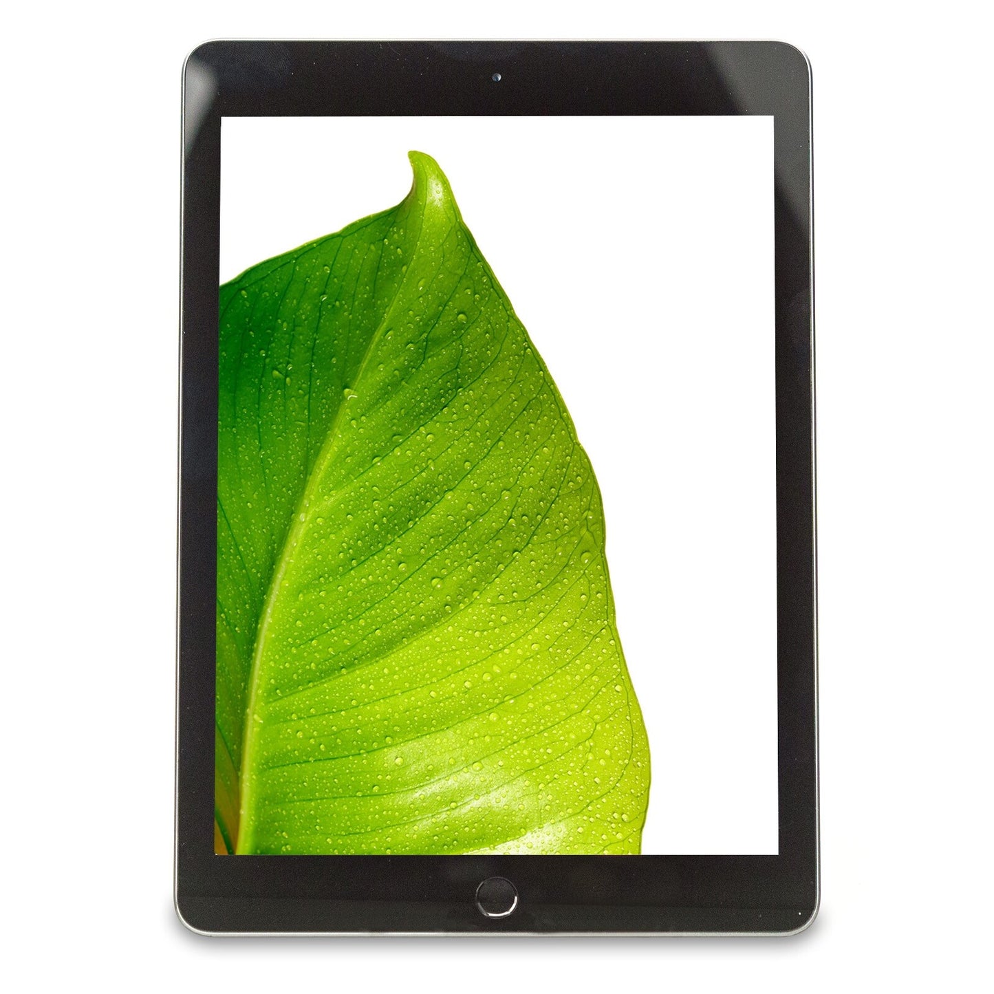 Apple iPad 5th Gen. Space Gray 9.7" 32GB Wi-Fi Tablet MP2F2LL/A A1822 - Grade B