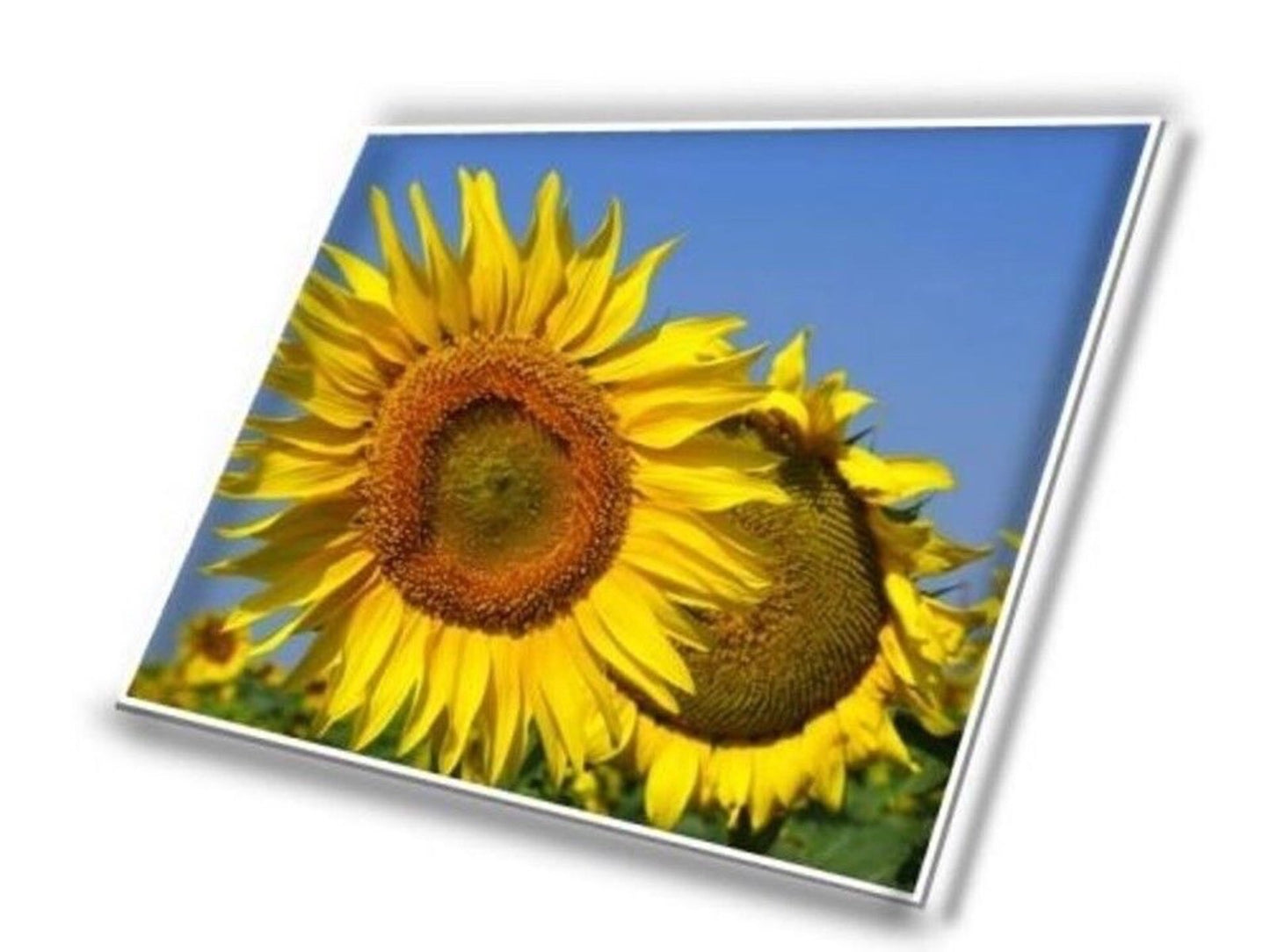 Lenovo FRU 5D10W69931 R156NWF7 R2 15.6" FHD 40pin Touch Laptop LED LCD Screen