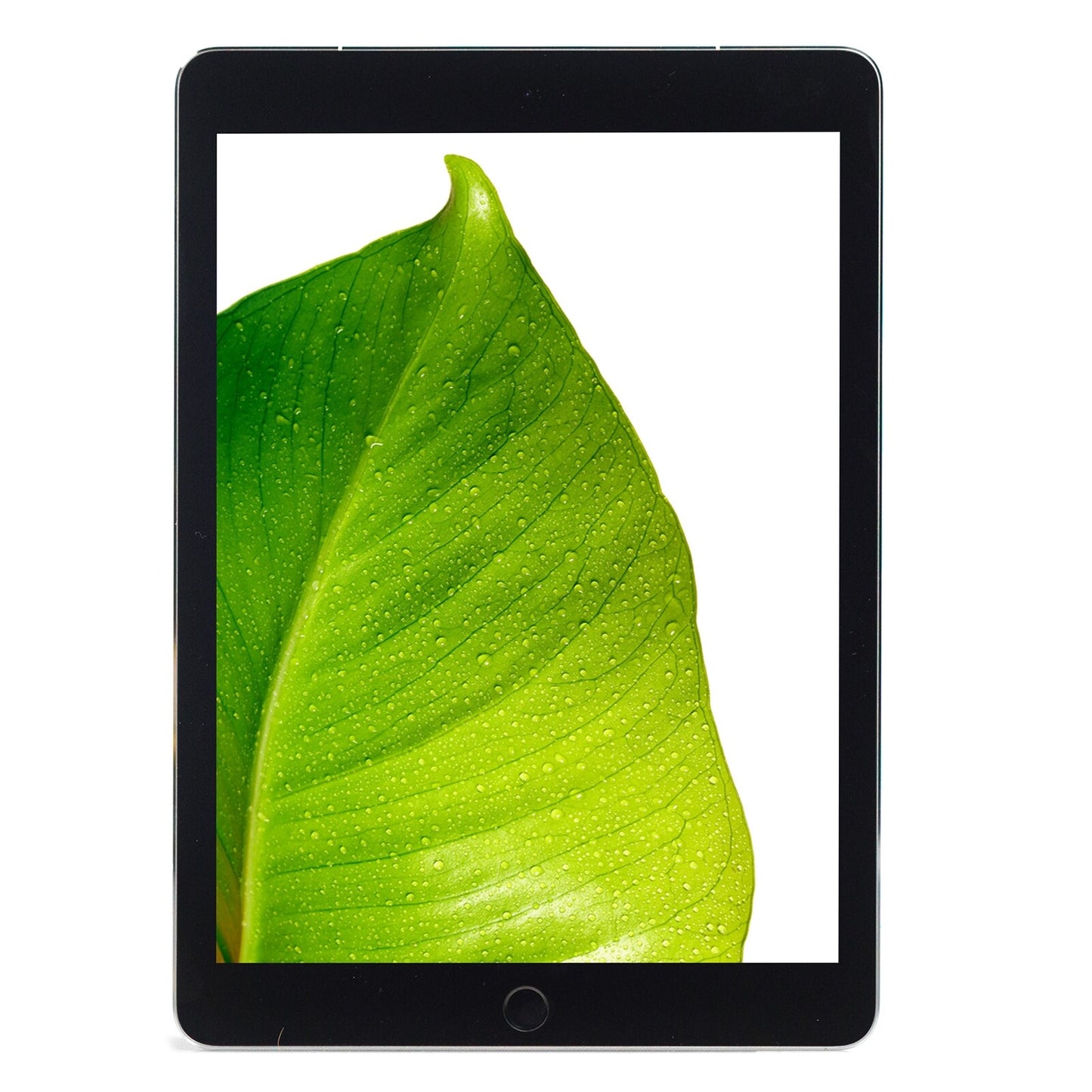 Apple iPad Pro 9.7" 2016 Space Gray 32GB Wi-Fi Touch Tablet MLMN2LL/A A1674 - B