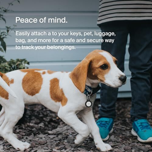 Belkin Apple AirTag Secure Holder with Key Ring - Durable, Scratch-Resistant Cas