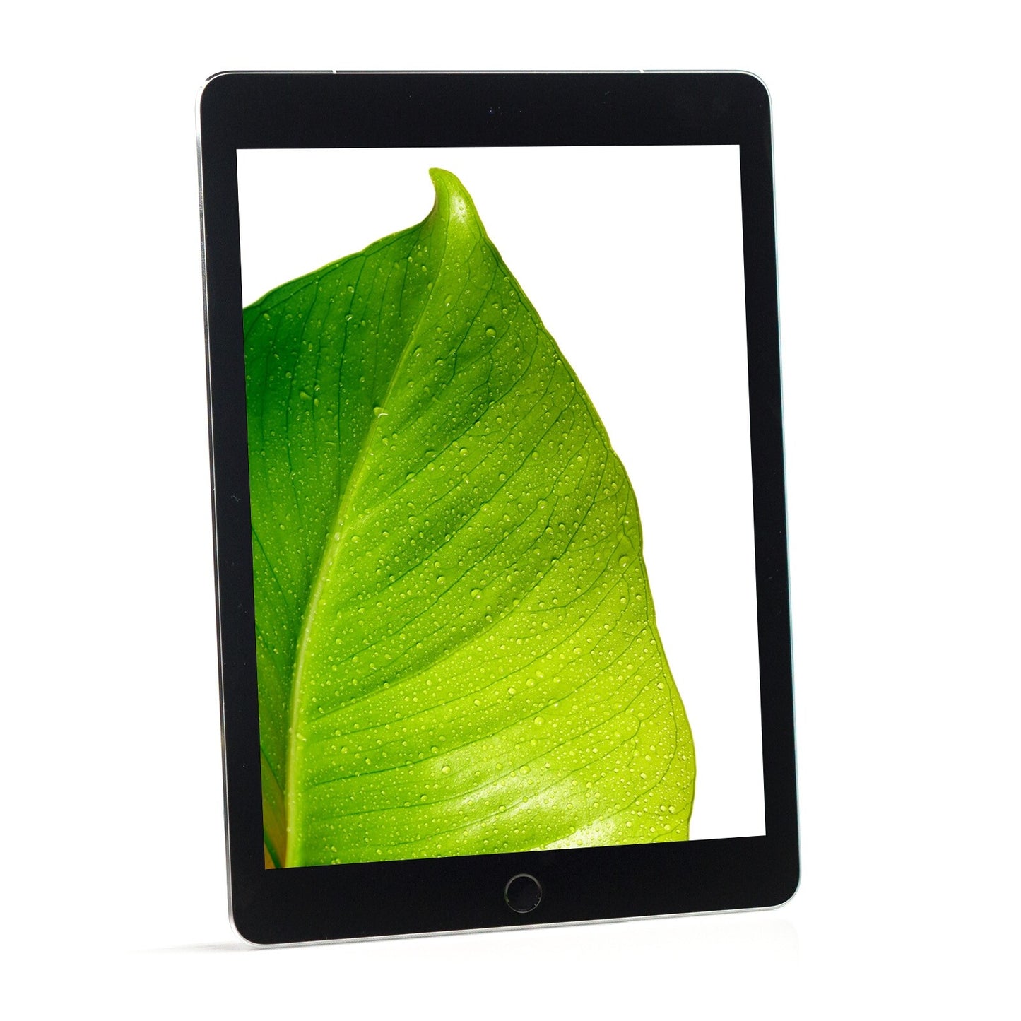 Apple iPad Pro 9.7" 2016 Space Gray 32GB Wi-Fi Touch Tablet MLMN2LL/A A1674 - B