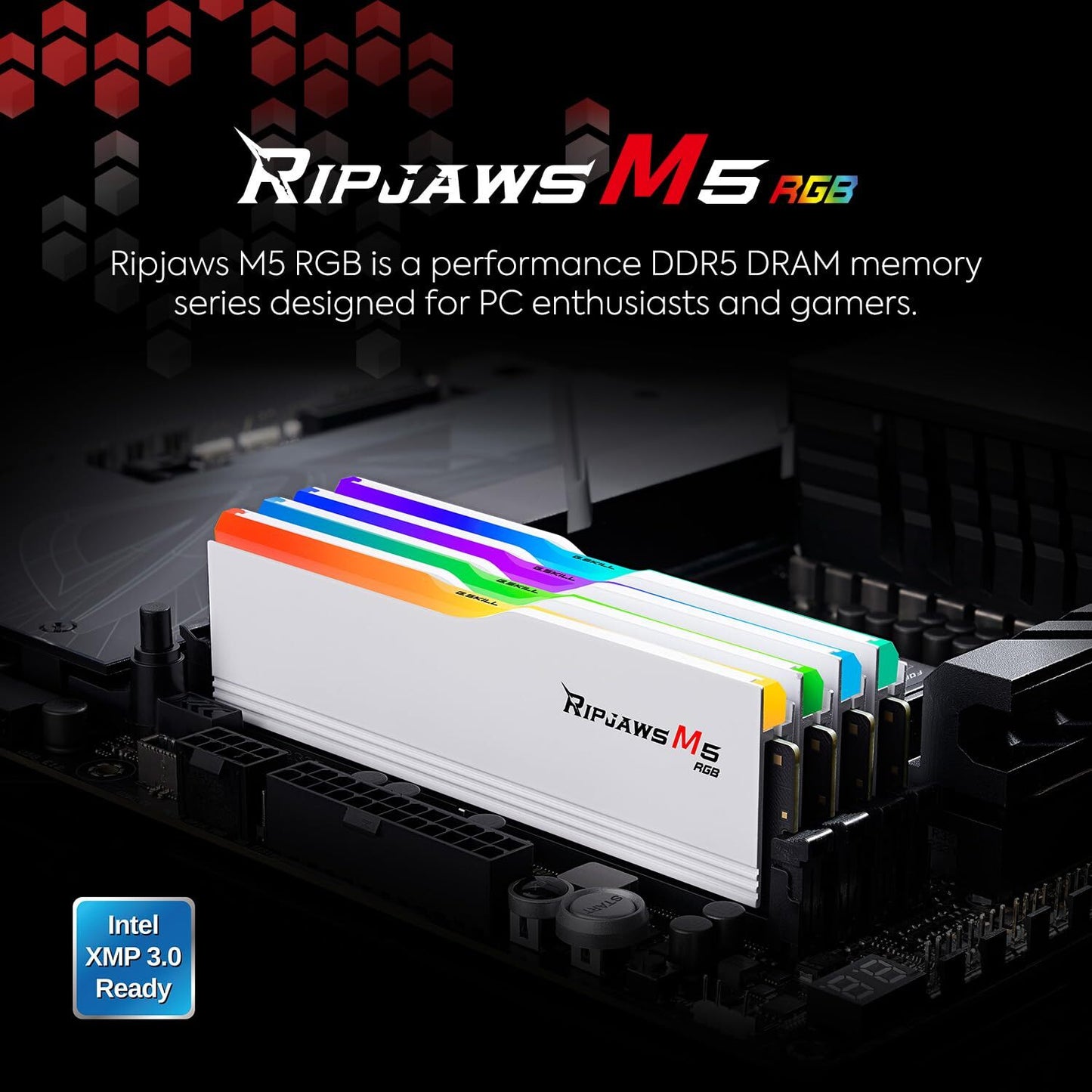 G.SKILL F5-5200J4040A32GX2-RM5RW MEM 2*32G|GSK F5-5200J4040A32GX2-RM5RW Memory