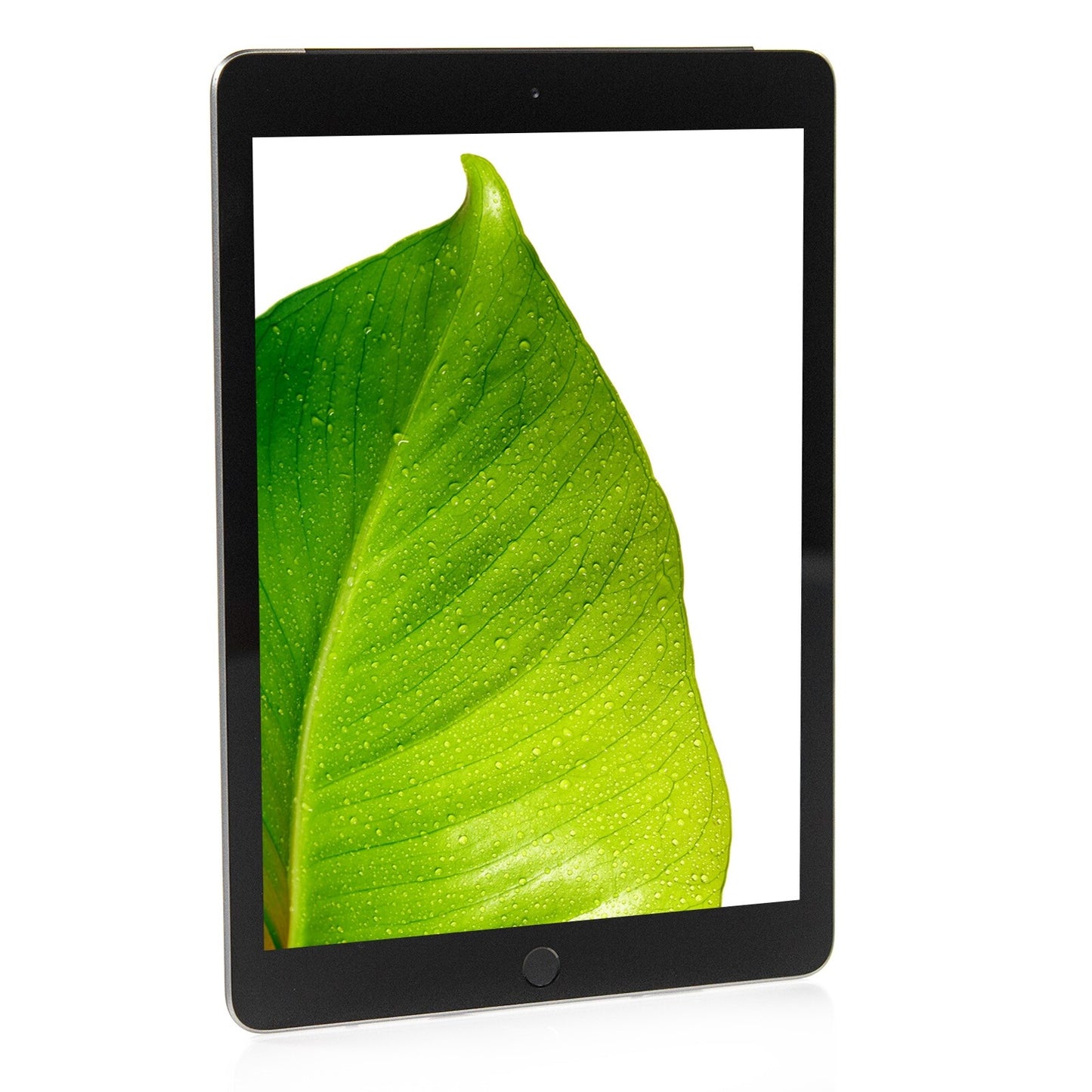 Apple iPad 6th Gen Space Gray 9.7" 128GB WiFi Cellular Tablet MR752LL/A A1954 B