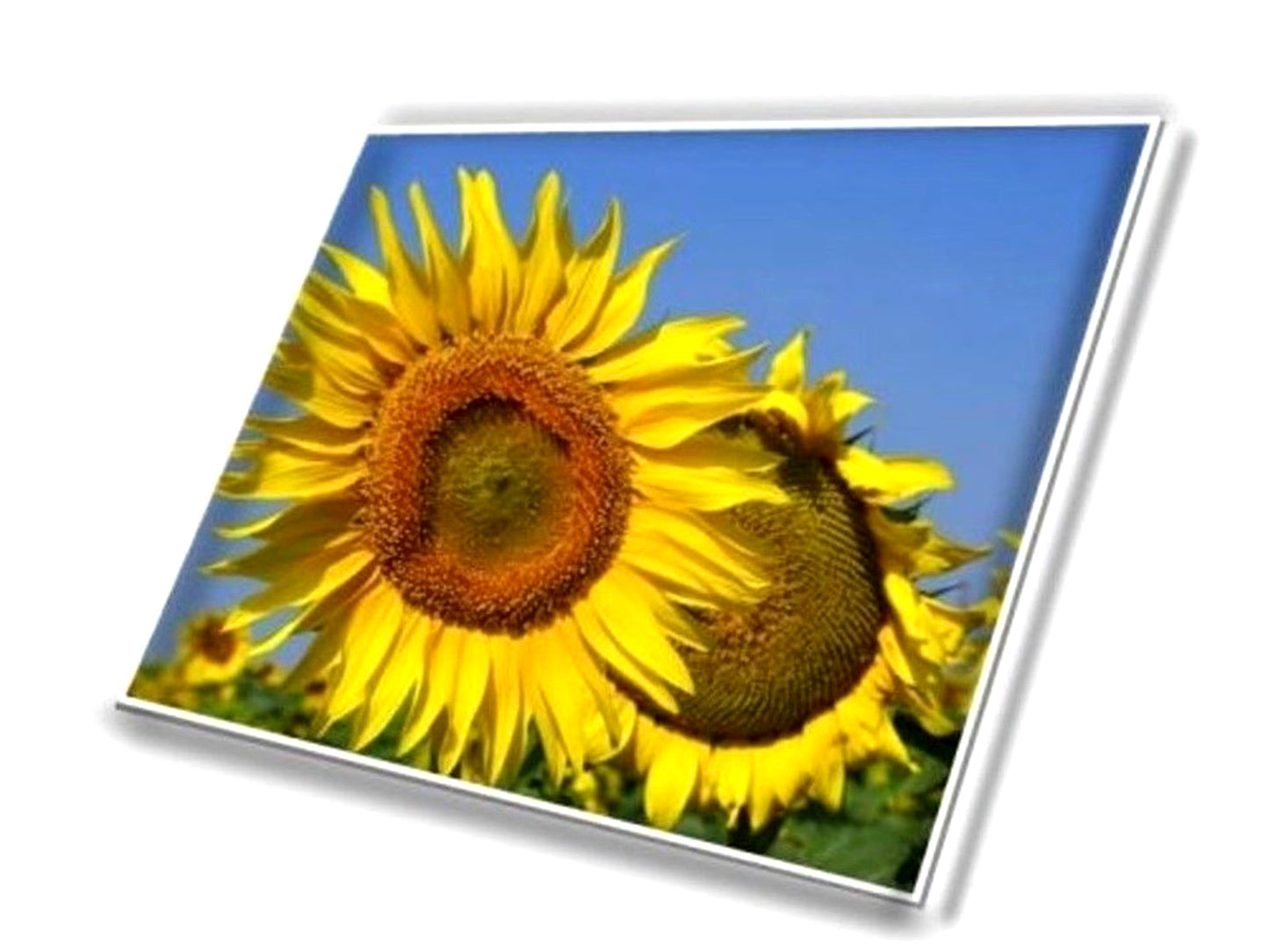 B160UAN03.3 for ASUS LCD Screen 16" FHD+ LED MATTE VIVOBOOK M1603QDisplay