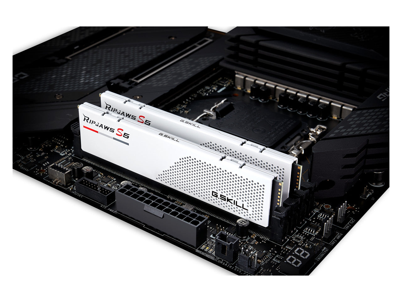 G.SKILL F5-5200J4040A48GX2-RS5W MEM 2*48G|GSK F5-5200J4040A48GX2-RS5W Memory