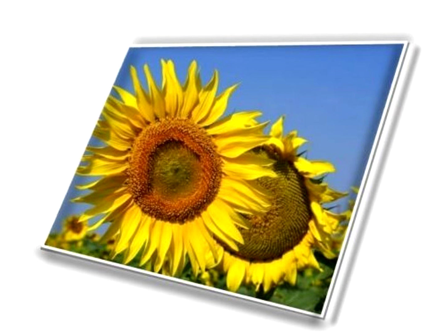 NE140QDM-NX1 V18.0 14" 2560x1600 16:10 40 pin eDP LCD screen Matrix Display New