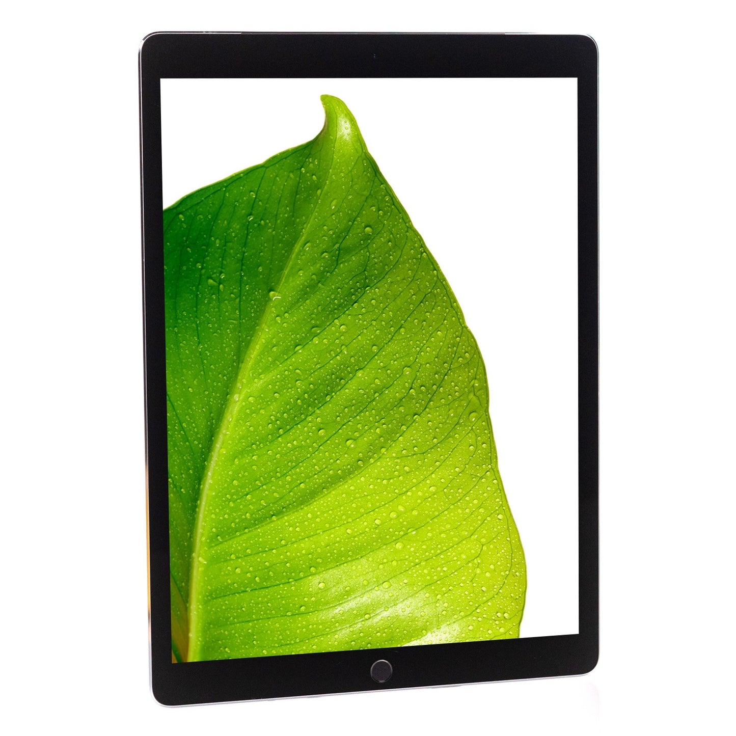 Apple iPad Pro 12.9" 2015 Space Gray 128GB Wi-Fi Tablet ML2K2LL/A A1652 -Grade B