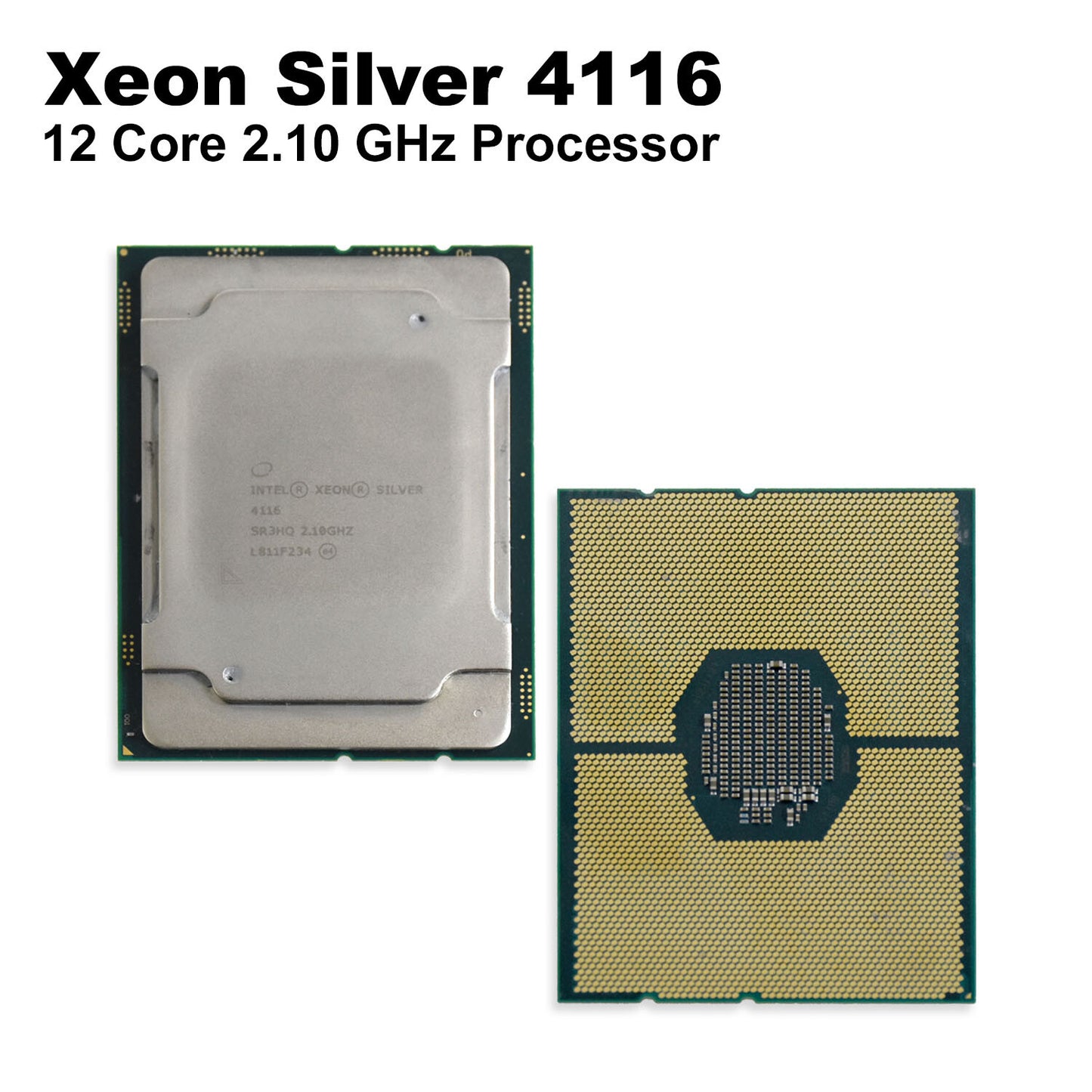 Lot of 5 Intel Xeon Silver 4116 2.1GHz 12-Core CPU Processor SR3HQ