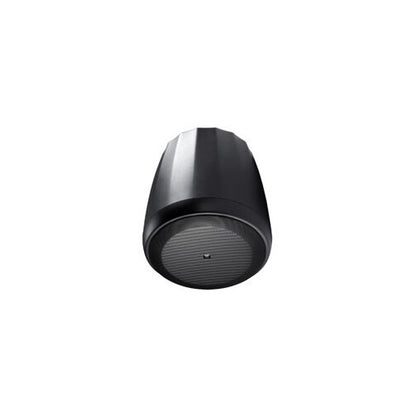 JBL C67P/T Pair Extended-Bass Full-Range Pendant Speaker