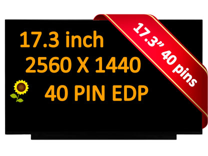 17.3" NE173QHM-NZ5 QHD 2560x1440 240Hz 40Pin LCD Non-Touch Screen Display Panel