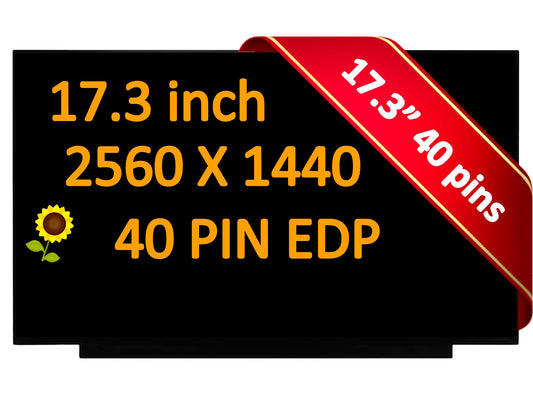 17.3" NE173QHM-NZ5 QHD 2560x1440 240Hz 40Pin LCD Non-Touch Screen Display Panel