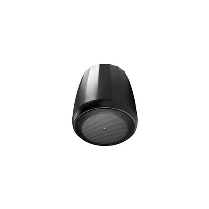 JBL C67P/T Pair Extended-Bass Full-Range Pendant Speaker