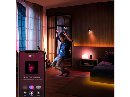 Philips Hue Play White & Color Smart Light, 2 Pack Base kit, Hub Required/Power