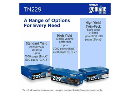CRTRD Broth|TN229Y R