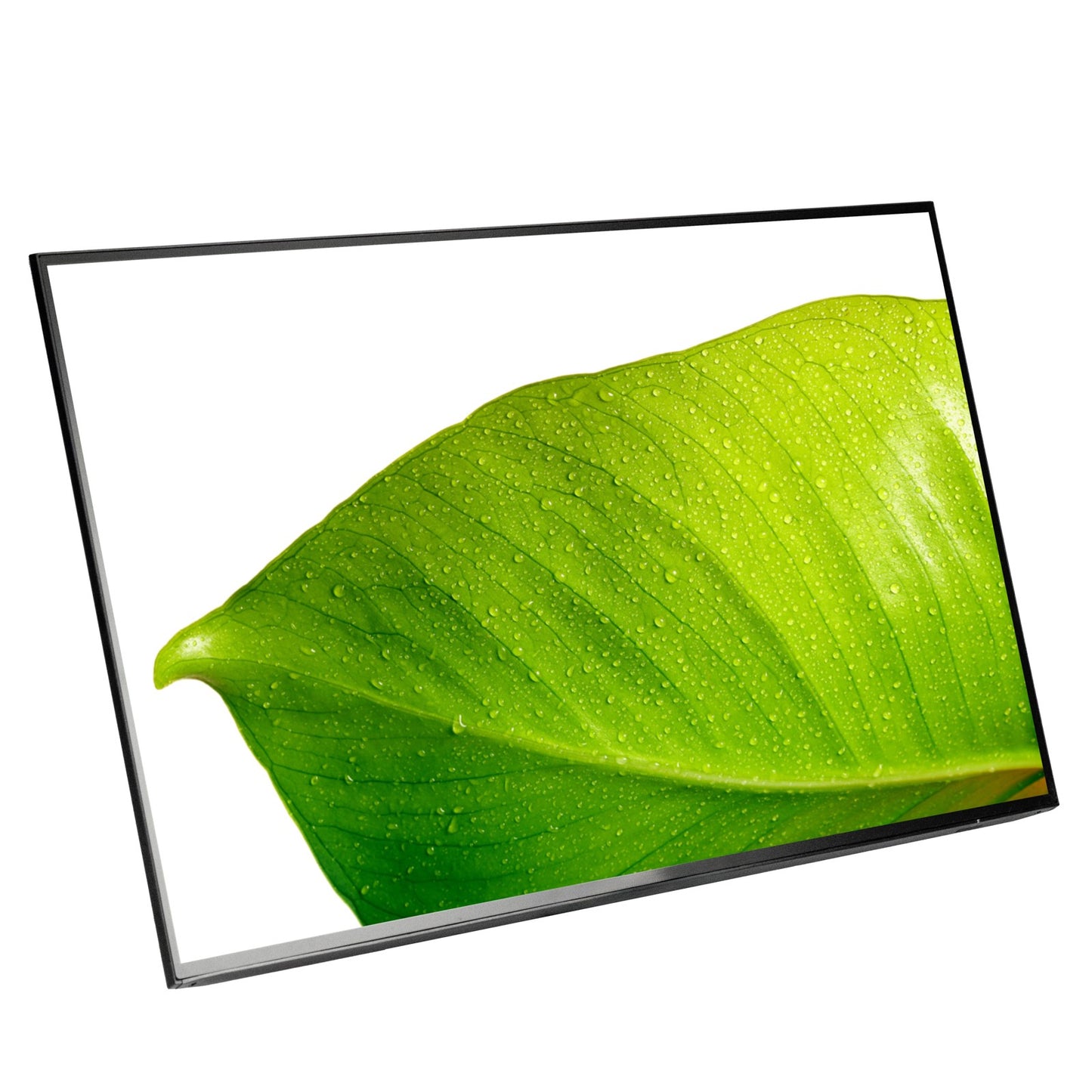 HP Z24f G3 24" Widescreen 1920x1080 16:9 Full HD IPS LCD Monitor ONLY - Grade B