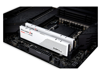 G.SKILL F5-5200J4040A48GX2-RS5W MEM 2*48G|GSK F5-5200J4040A48GX2-RS5W Memory