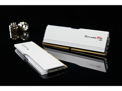 G.SKILL F5-5200J4040A32GX2-RM5RW MEM 2*32G|GSK F5-5200J4040A32GX2-RM5RW Memory